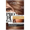 صبغة شعر برودجي 6.0 أشقر غامق خالية من الأمونيا من لوريال باريس